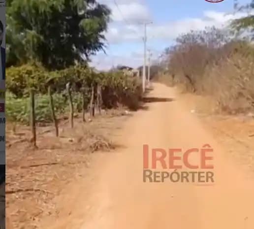 Cocão: Grupo invade chácara, destrói mais de 50 cocos e morador denuncia vandalismo entre Lapão e Irecê