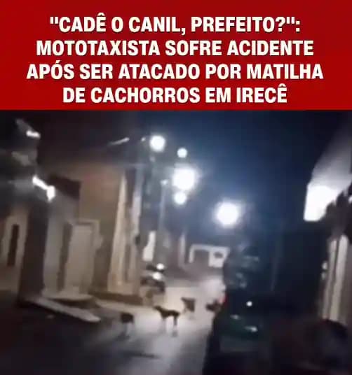 Mototaxista sofre acidente provocado por cães soltos em Irecê e cobra ações da Prefeitura