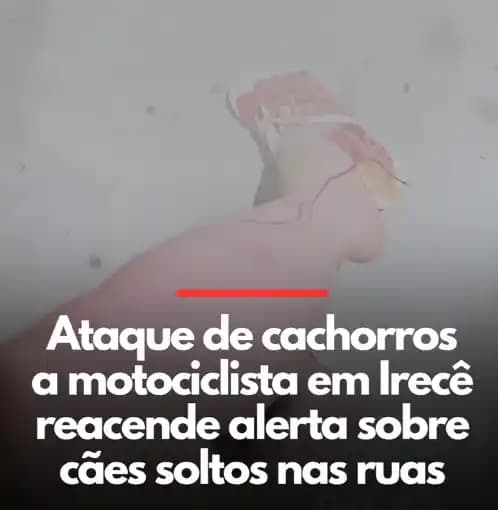 Motociclista fica ferida após ataque de cães na Rua Rio Grande, em Irecê