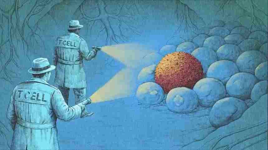 Nova era no combate ao câncer: Imunoterapia promove curas sem necessidade de cirurgia ou quimioterapia