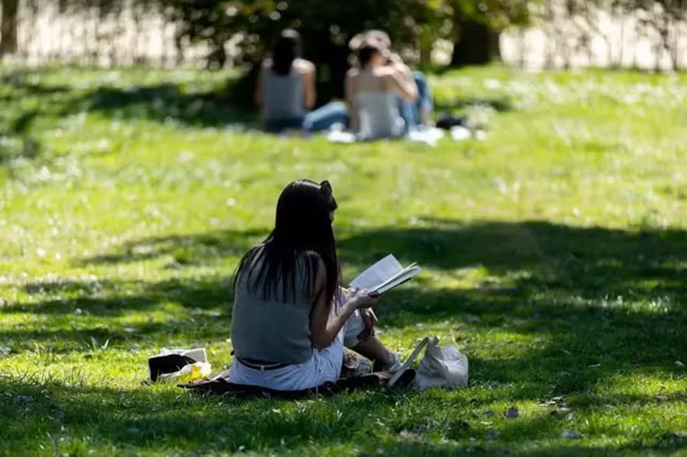 Leitura Digital vs. Profunda: Como a Tecnologia está Transformando o Cérebro Humano