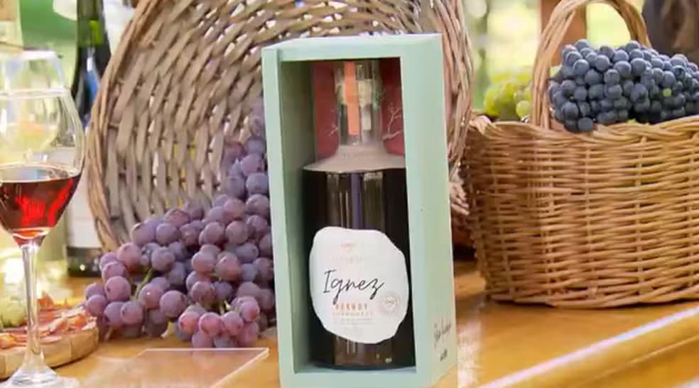 Resiliência e Tecnologia: Serra Gaúcha supera catástrofe e registra safra emblemática de uvas