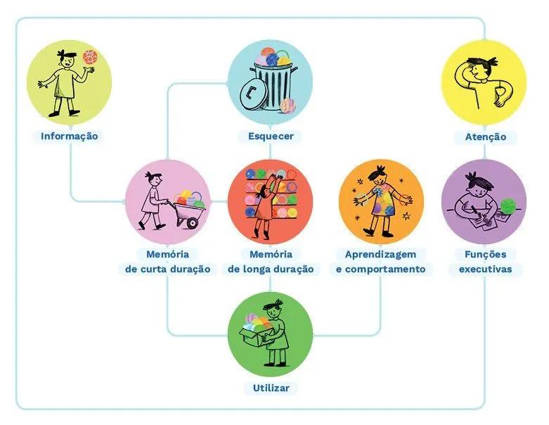 A Arquitetura da Compreensão: Como a Neuroeducação está Desmonteando o "Modelo de Fábrica" das Escolas